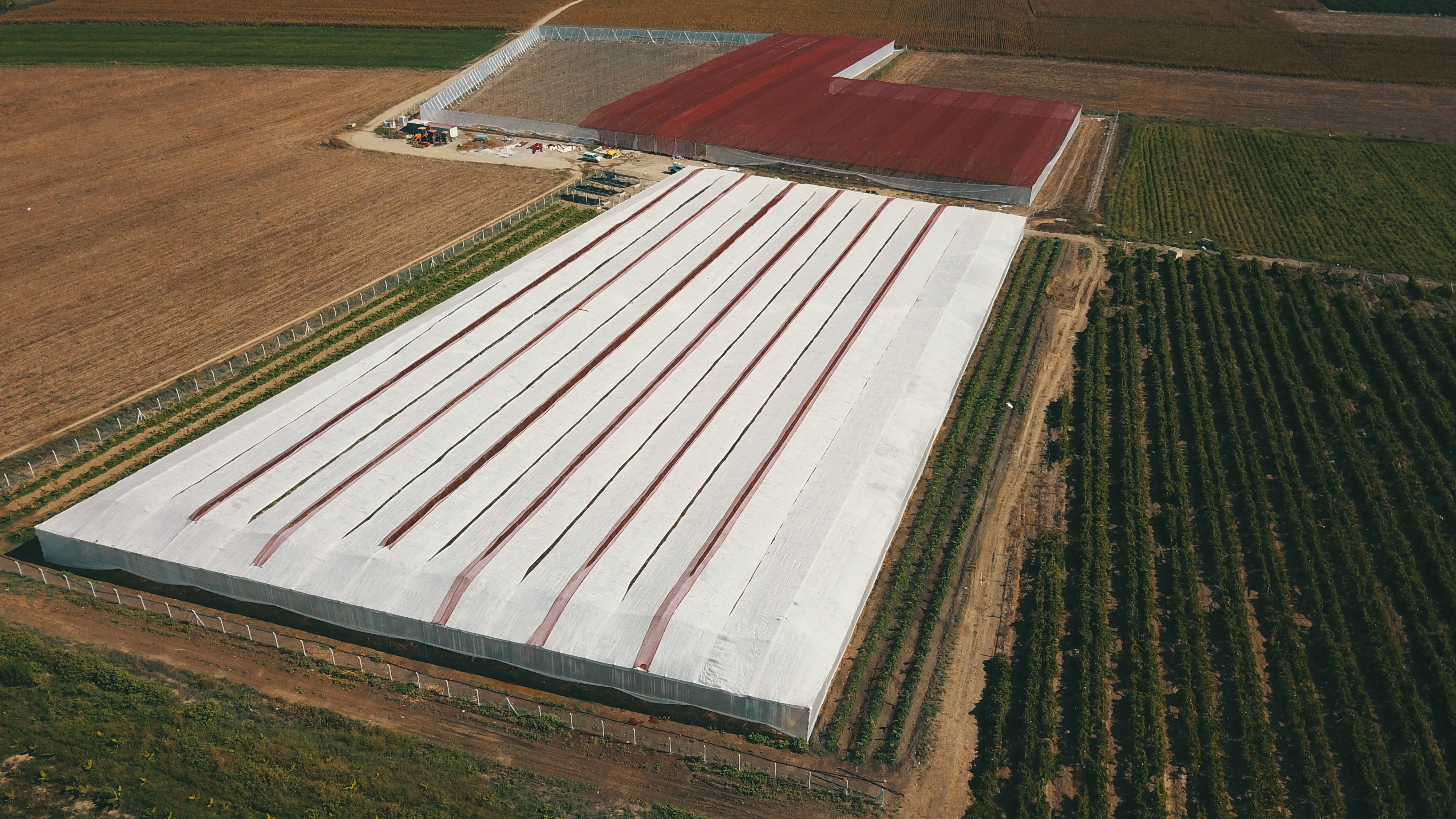 Adana’da Hilal Seracılık İspanyol tipi muz seraları
